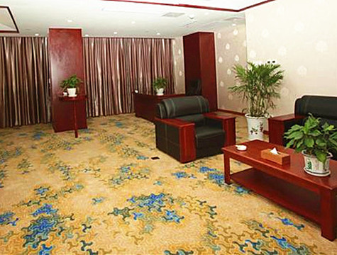 安徽高河独秀大酒店地毯