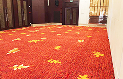 无锡艾迪花园酒店地毯