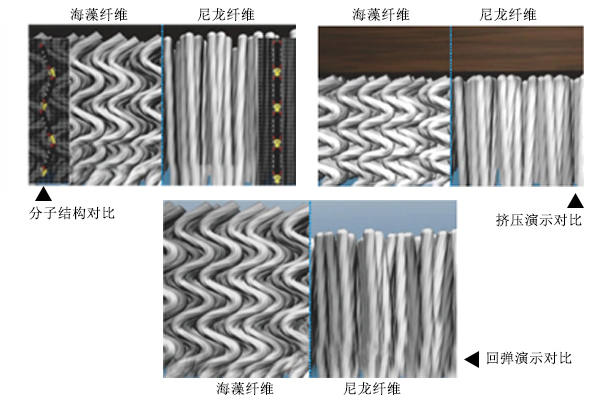 海藻纤维和尼龙纤维对比图