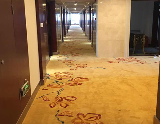 泰州市高港区国源大酒店地毯